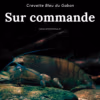 Atya Gabonensis - Bleue du Gabon