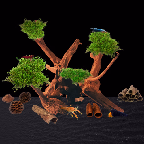 Logo racines et cachettes 2