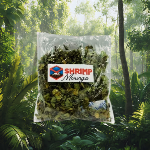 Feuilles de Moringa – Aliment 100% Naturel pour Crevettes