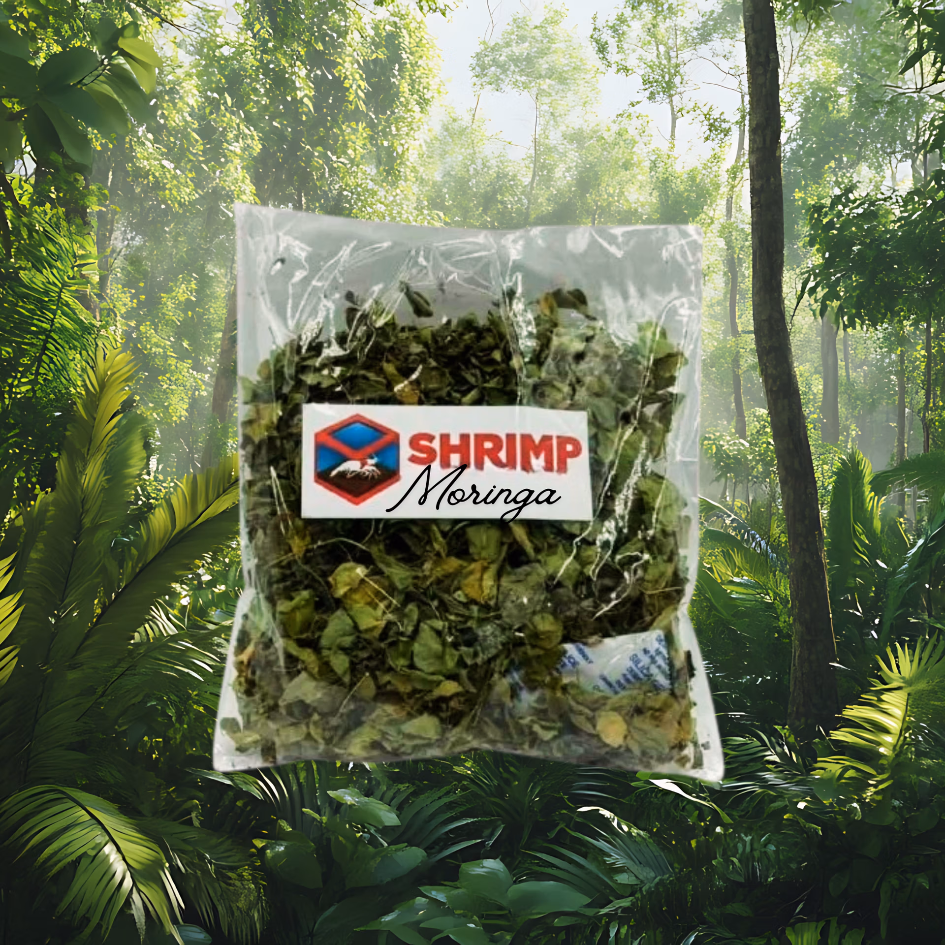Feuilles de Moringa - Aliment 100% Naturel pour Crevettes Le Crevettilus