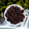 Alder Cônes BIO