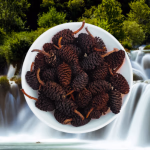 Alder Cônes BIO