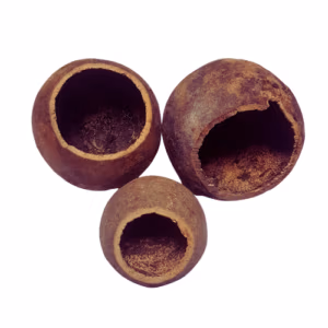 Apple Wood