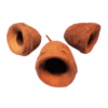 Paradise Nut