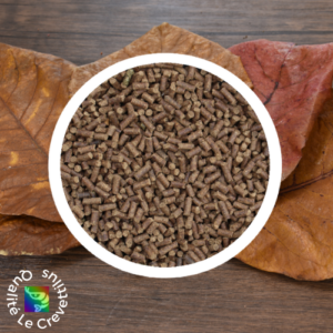 Catappa – pellets alimentation pour crevettes d’aquarium – 60 g