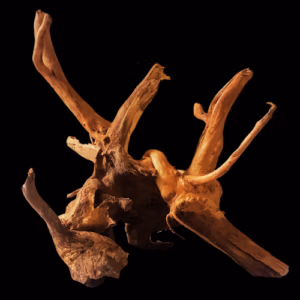 Spider Wood (30-40 cm)
