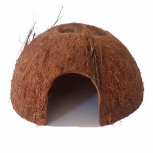 Demi Noix De Coco Avec Porte