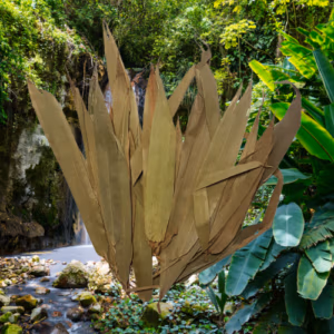 Feuilles de Bambou BIO