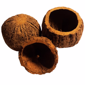 Ourio Nut XL