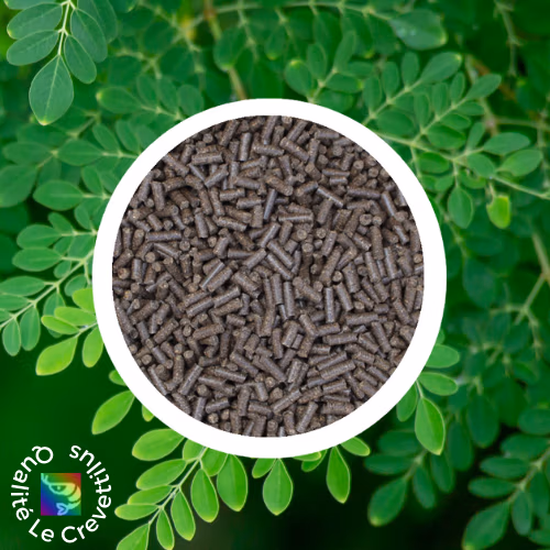 Moringa - pellets alimentation pour crevettes d'aquarium - 60g