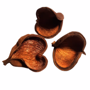 Badam Nut