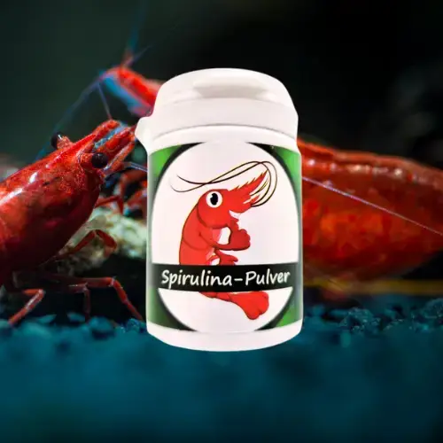 Poudre Spiruline - Superaliment Pour Crevettes - SHRIMPTASTIC Le Crevettilus