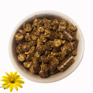 Topinambour pellets XL – nourriture pour crevettes d’aquarium – 25g