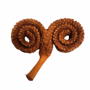 Cornes de Palmier