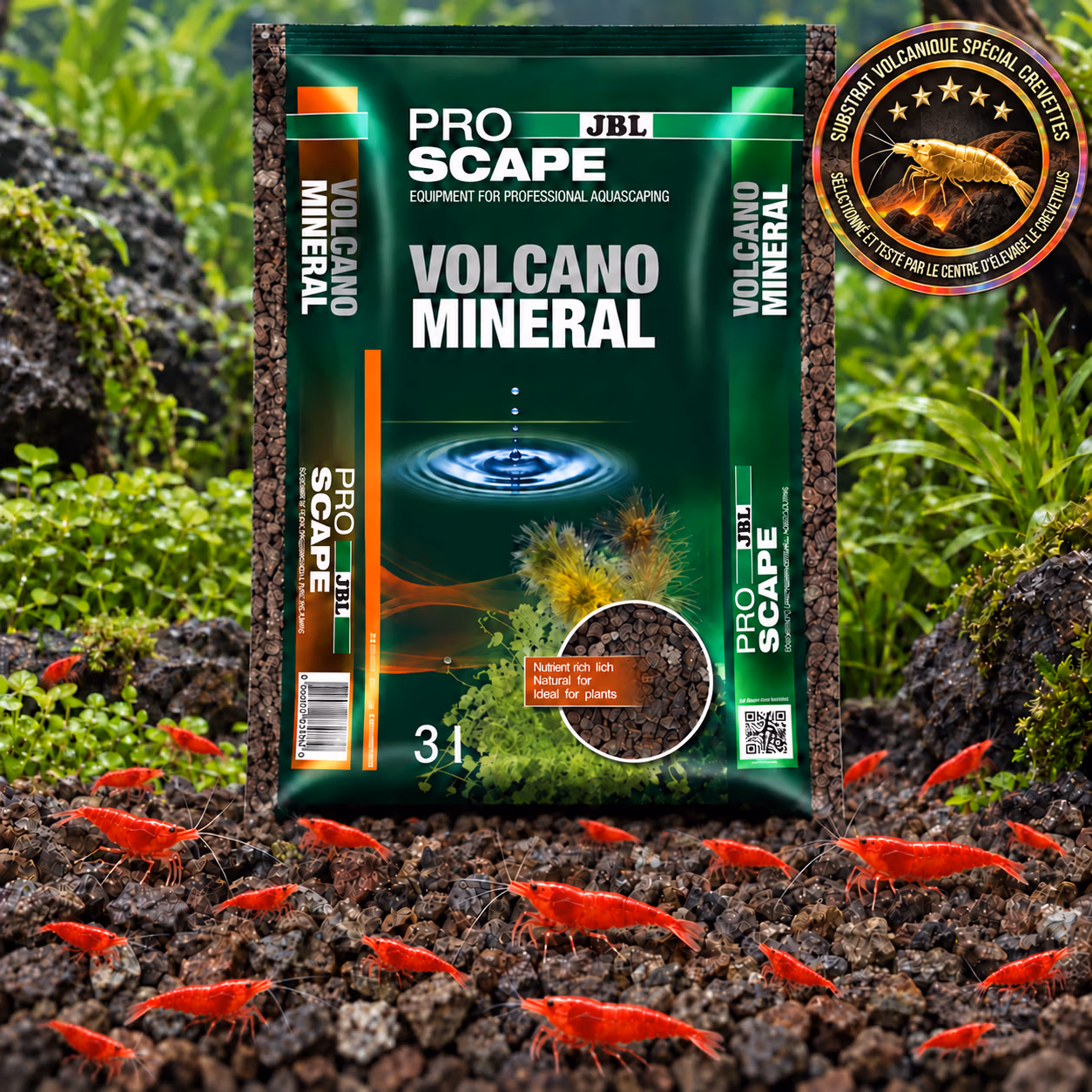 ProScape Volcano Minéral JBL sur sol volcanique avec une colonie de crevettes rouges – Le Crevettilus