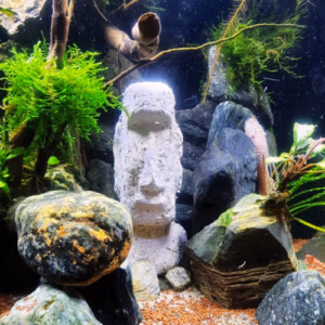 MOAI CERAMIQUE NATURELLE – ARKA