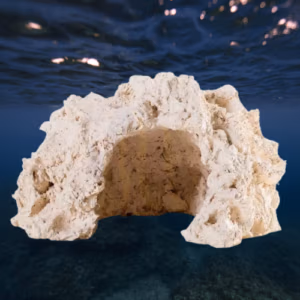CAVE ROCHE ARKA REEF