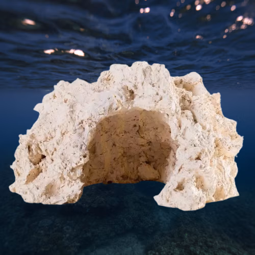 CAVE ROCHE ARKA REEF-10-cm-roche-ceramique-haute-porosite-pour-aquarium-d-eau-de-mer et eau douce