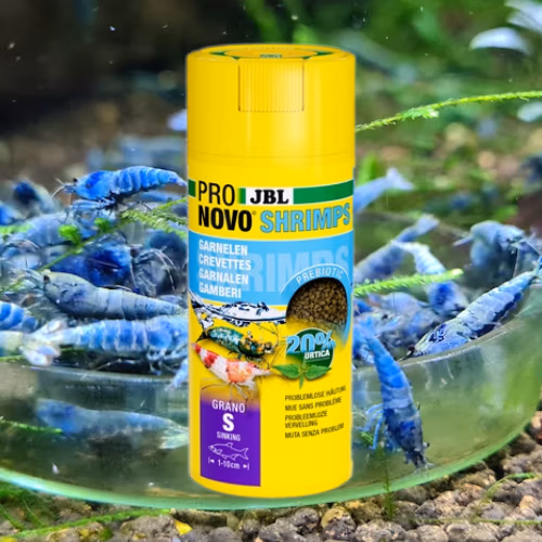 Pronovo Shrimps Grano S - Alimentation Quotidienne - 100 mL - JBL