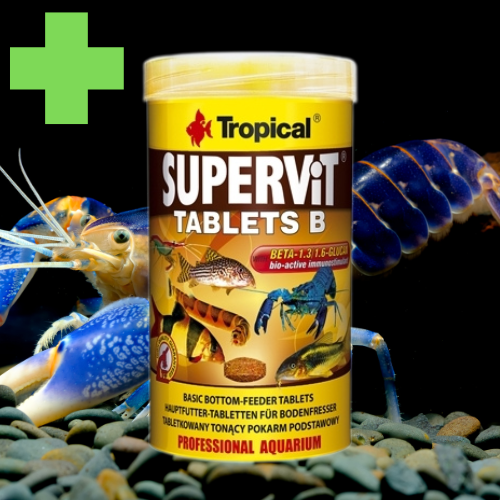 SUPERVIT Tablets B - Immunitée & Couleur - 250 mL - TROPICAL