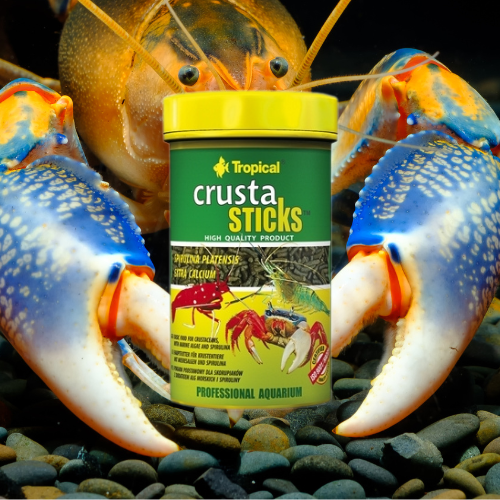 Crusta Sticks - Nourriture Quotidienne Invertébrés - 100mL - TROPICAL