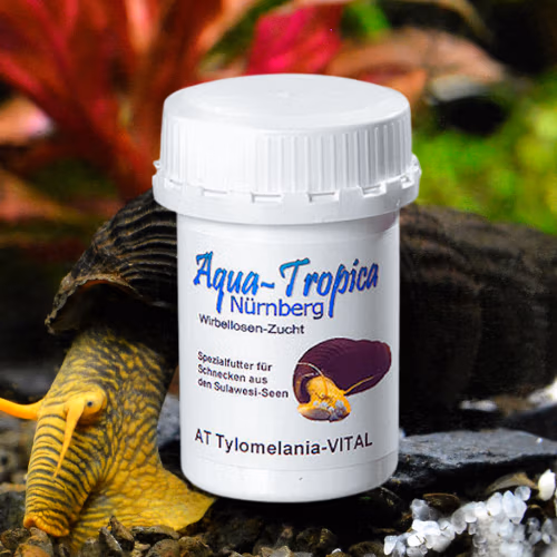 Tylomélania VITAL - Aqua Tropica