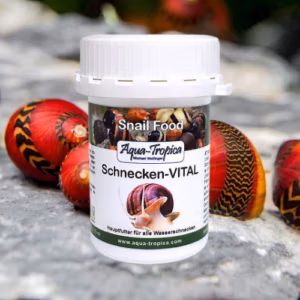 Escargot VITAL – Nourriture Quotidienne – AQUA-TROPICA