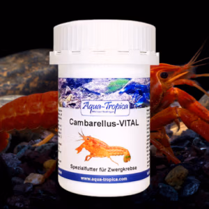 Cambarellus VITAL – Nourriture Quotidienne – AQUA TROPICA