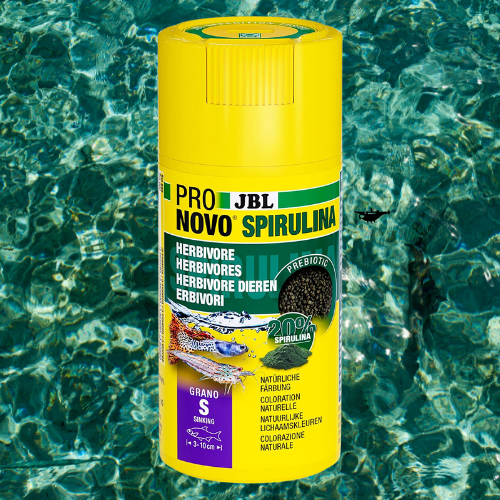 Pronovo Spirulina Shrimps - JBL