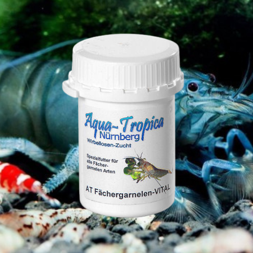 Blue Gabon et Bambou VITAL - Aqua Tropica pas chère pour aquarium à crevettes