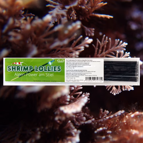 Lollies Algues - Pour Crevettes - GLASGARTEN aquarium shrimp