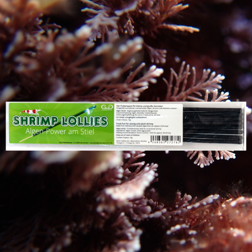Lollies Algues - Pour Crevettes - GLASGARTEN aquarium shrimp