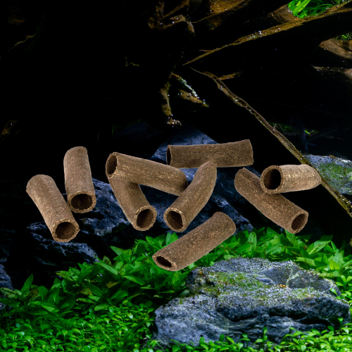 Crispy Caves Comestibles - S - GLASGARTEN pour crevettes d'aquarium