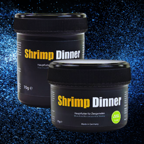 Shrimp Dinner Pads - GLASGARTEN