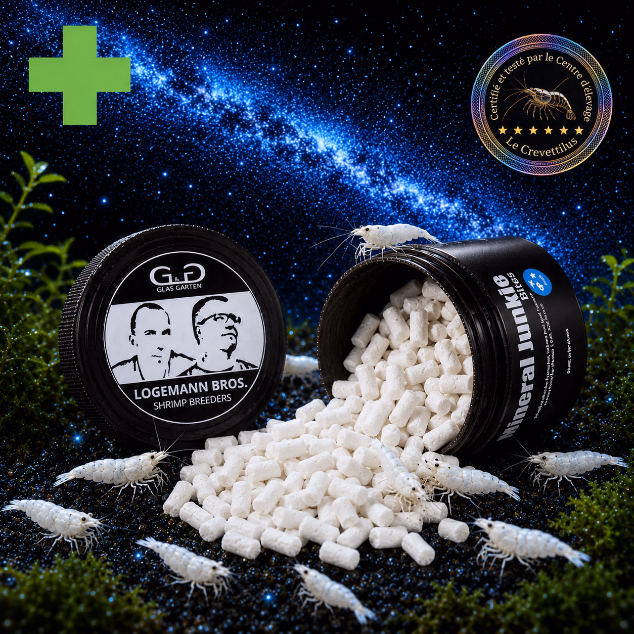 Mineral Junkie Bites GlasGarten avec crevettes Snow White – Le Crevettilus