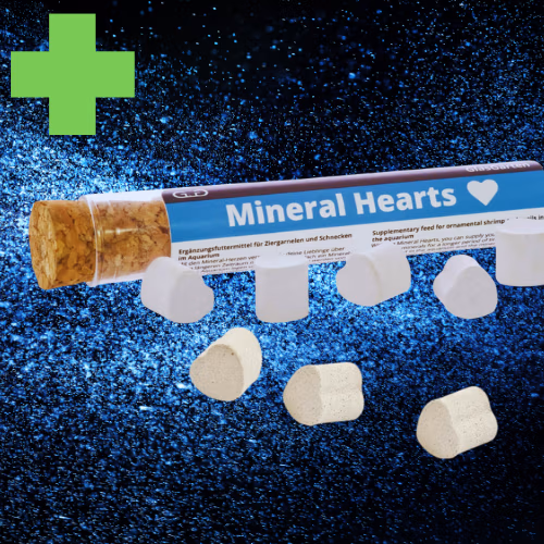 Minéral Hearts - Coquille & Mue - GLASGARTEN