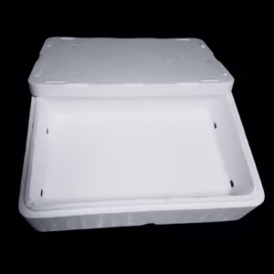 Shrimps BOX Classic – Reconditionnée