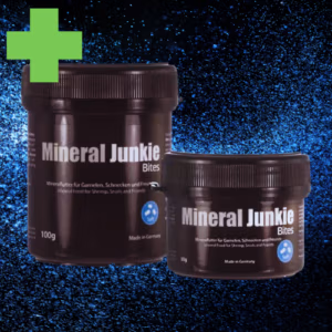 Minéral Junkie – Mue Crevettes & Coquille Snail – GLASGARTEN