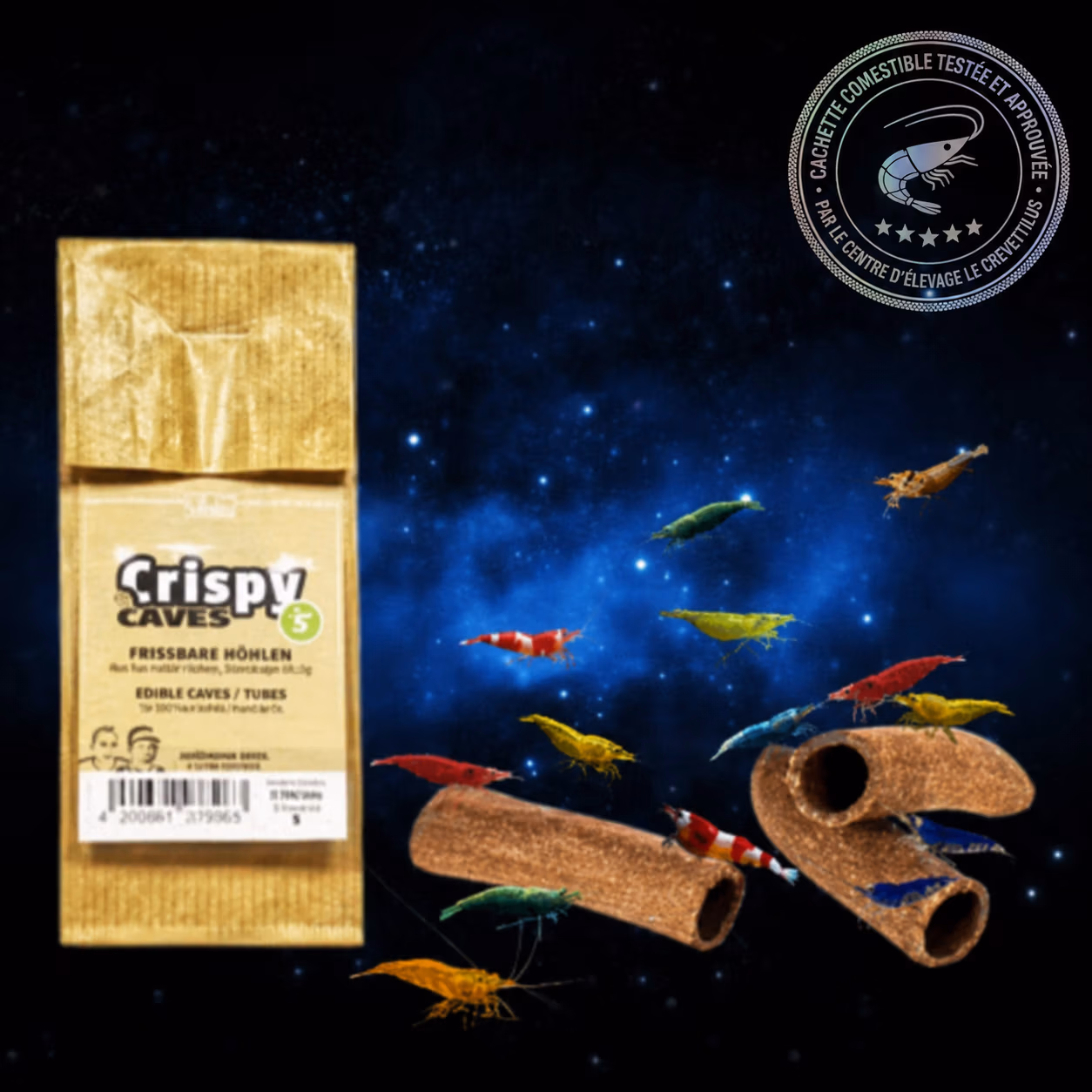 Crispy Caves S GlasGarten avec crevettes colorées – cachettes comestibles Le Crevettilus