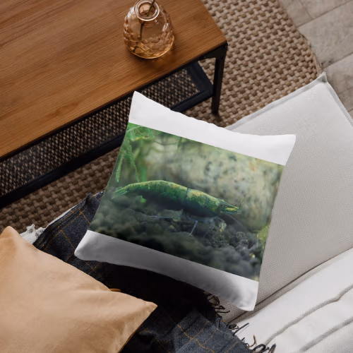 création objet personnalisé crevette coussin