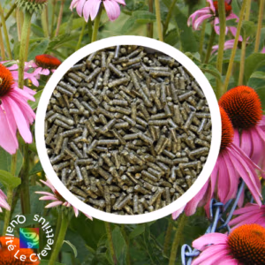 Echinacéa – pellets pour alimentation crevettes d’aquarium – 60g