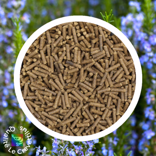 Romarin - pellets pour alimentation crevettes d'aquarium - 60g