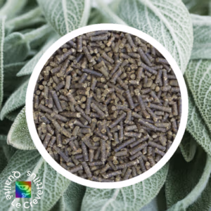 Sauge – pellets alimentation pour crevettes d’aquarium – 60g