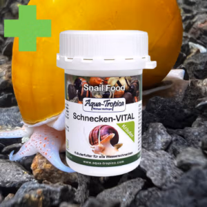 Escargot VITAL HERBAL MIX – Préventif & Curatif Maladies – AQUA-TROPICA