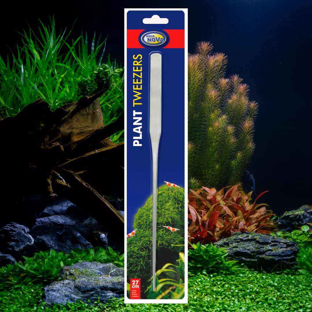 Pince aquascaping en acier Inox - AQUA NOVA