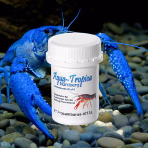 Procambarus VITAL – Alimentation Quotidienne – AQUA-TROPICA