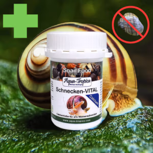 Escargot VITAL Calcium – Préventif & Curatif Coquille – AQUA-TROPICA