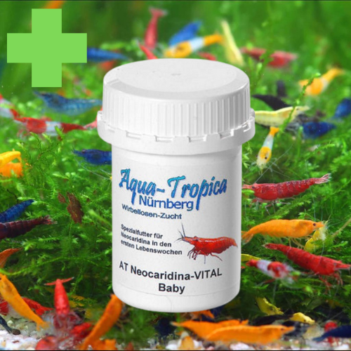 Aliment Néocaridina Baby VITAL - Color BOOST - AQUA-TROPICA aquarium