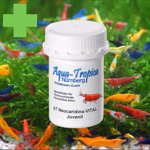 Aliment Néocaridina Juvénil VITAL - Color BOOST - AQUA-TROPICA aquarium