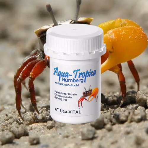 Uca VITAL - Alimentation Quotidienne Crabe Violoniste